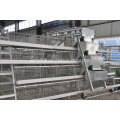 Automatic/Semi-Automatic Poultry Equipment Layer Chicken Cage